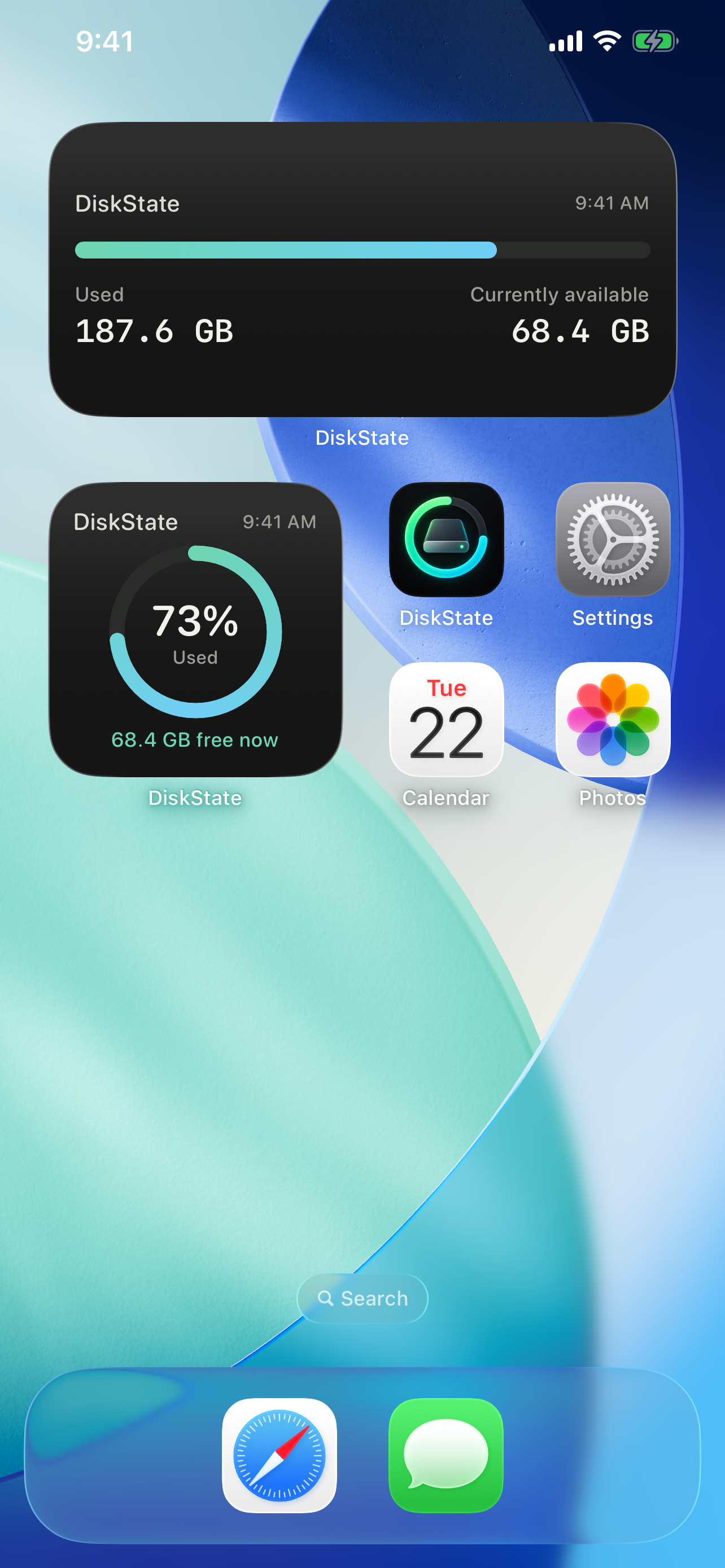 iPhone Home Screen showing DiskState Small and Medium storage widgets