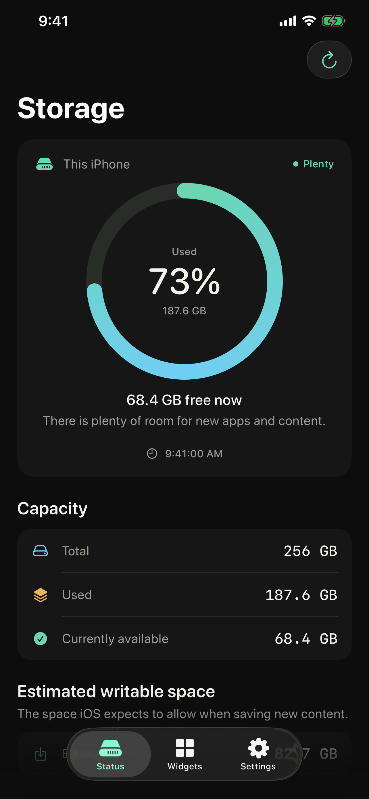 DiskState status screen showing storage capacity and a usage ring