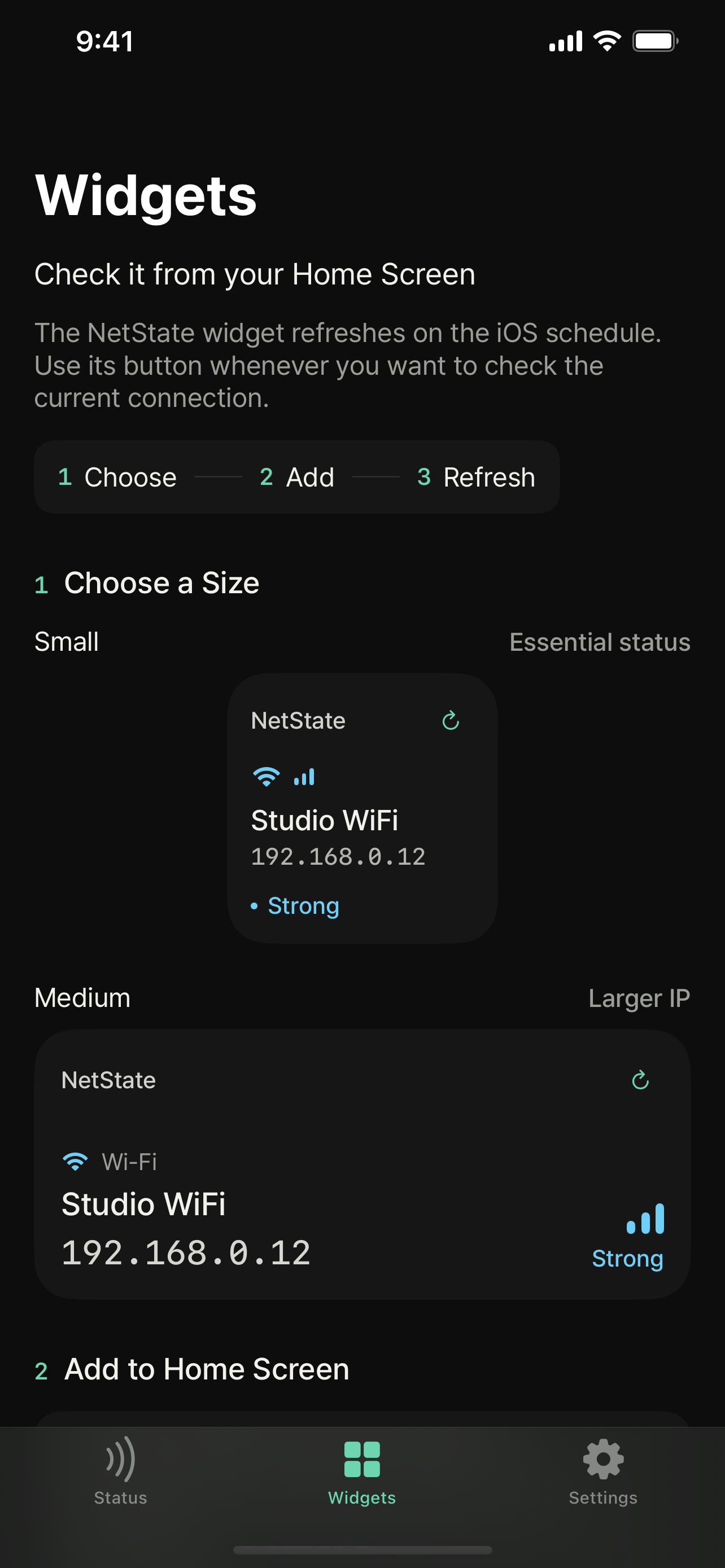 NetState widget guide showing the Small and Medium widget sizes